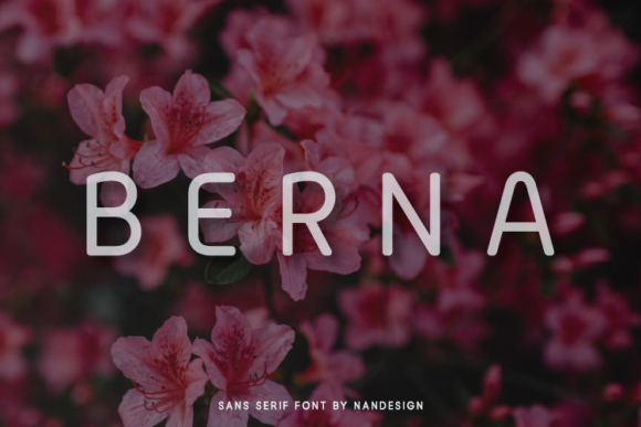 Berna: A Clean Sans Serif Font