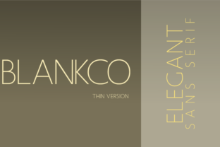 Blankco Thin Font for Business