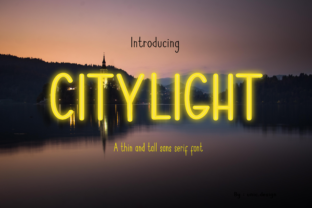 Citilight: A Smooth Sans Serif for Campaigns