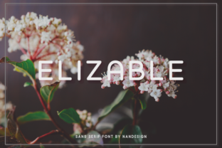 Elizable Font: Clean & Casual Design