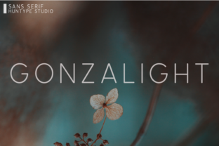 Gonzalight: A Modern Sans Serif Font for Editorial Design