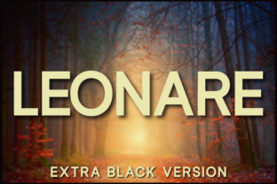 Leonare Extra Black Review