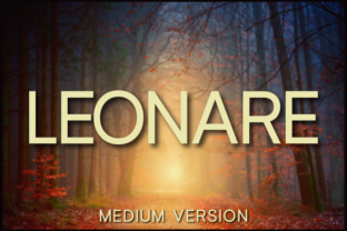 Leonare Medium Font for Editorial Design
