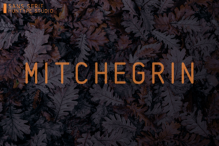 Mitchegrin: A Timeless Sans Serif Font