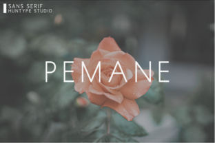 Pemane: A Timeless Sans Serif for Every Campaign